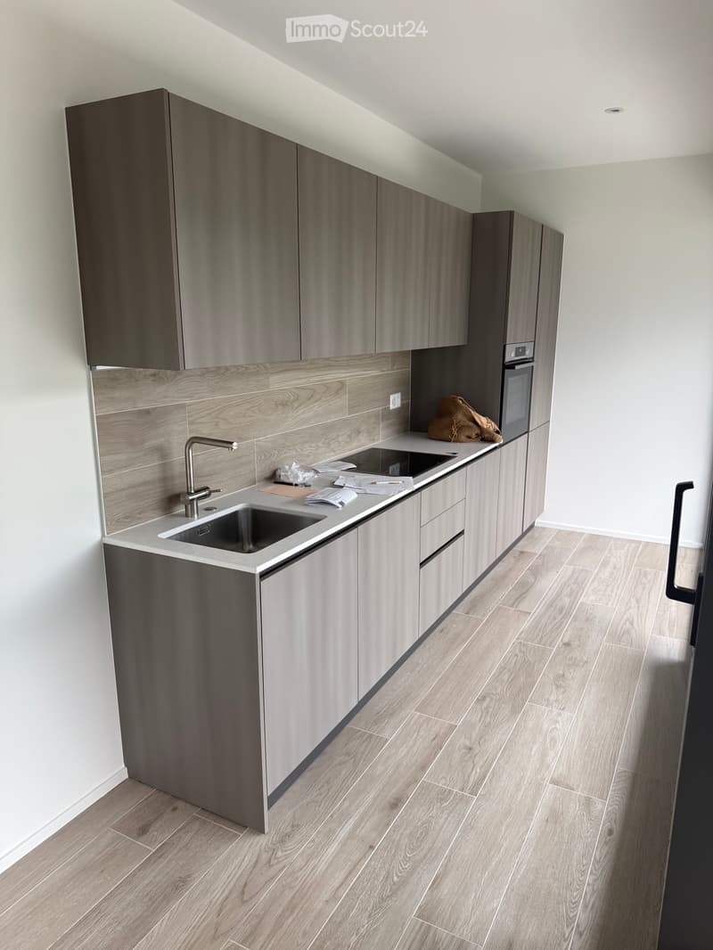 Location - Vente appartement avec vue sur le lac (3)