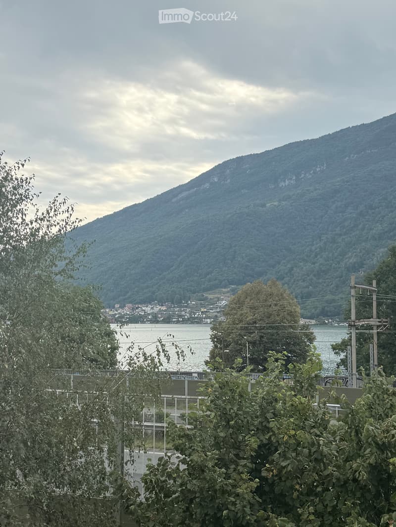 Location - Vente appartement avec vue sur le lac (5)
