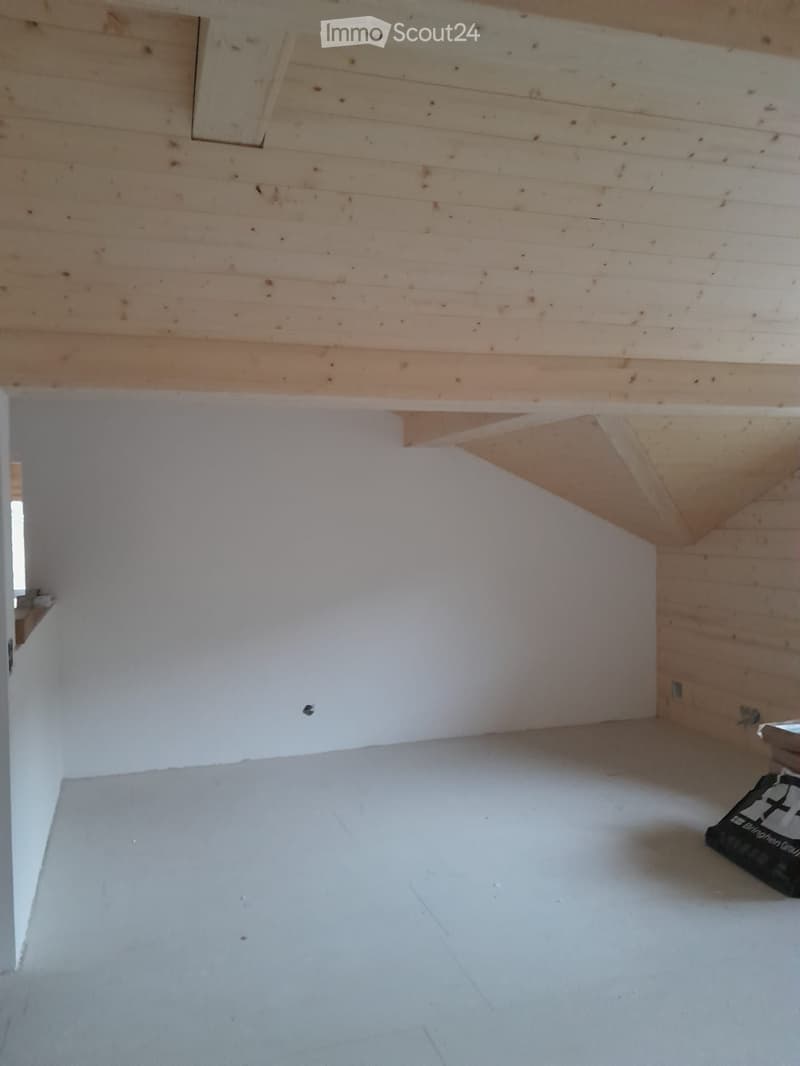Appartamento appena ristrutturato (5)