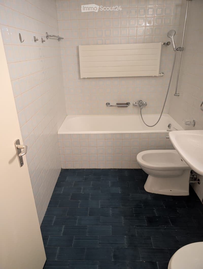 Beautiful 2.5-room apartment 70mq (3)