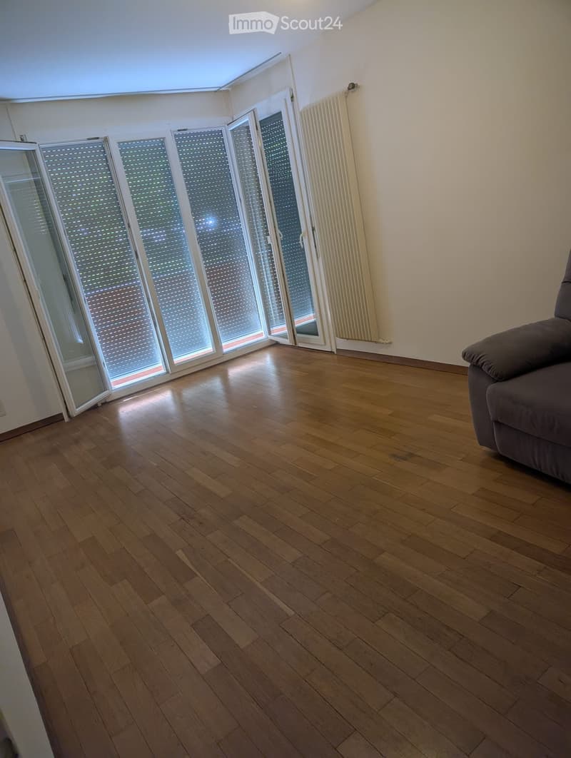 Beautiful 2.5-room apartment 70mq (4)