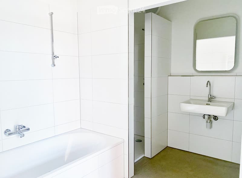 Appartamento loft a Liestal tra stazione e città vecchia (3)