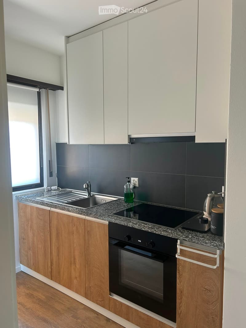 3.5 room apartment in Serocca dAgno (2)
