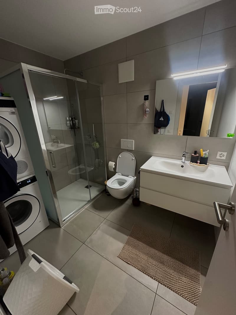 Bright 2.5-room apartment in Pregassona (4)