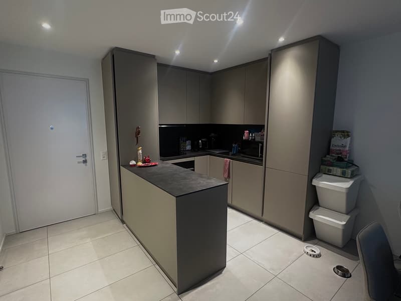 Bright 2.5-room apartment in Pregassona (2)