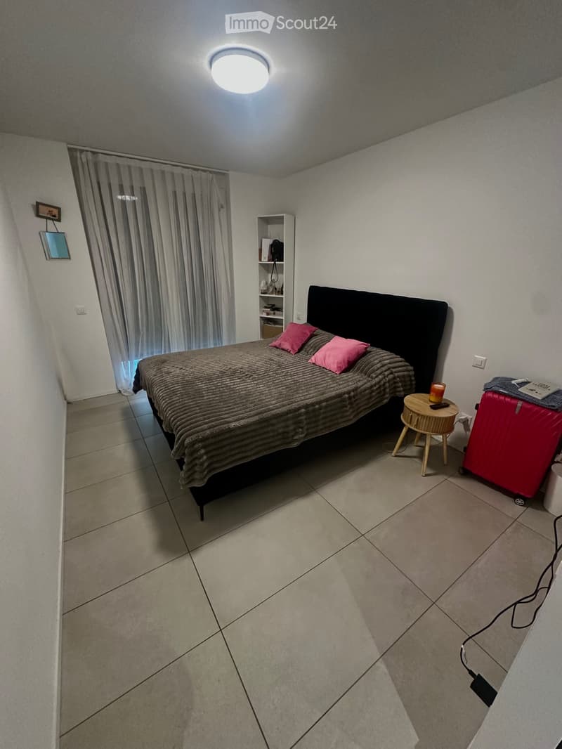 Bright 2.5-room apartment in Pregassona (5)
