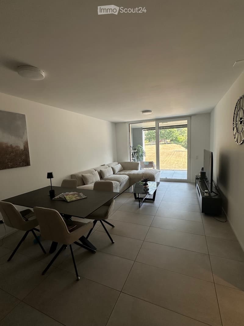 Bright 2.5-room apartment in Pregassona (1)