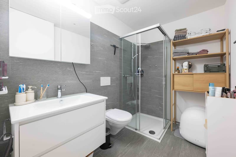 Helles WG-Zimmer in traumhafter Attikawohnung (3)