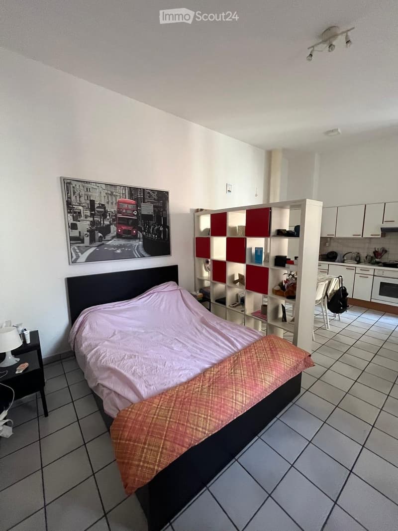 Studio meublé (5)