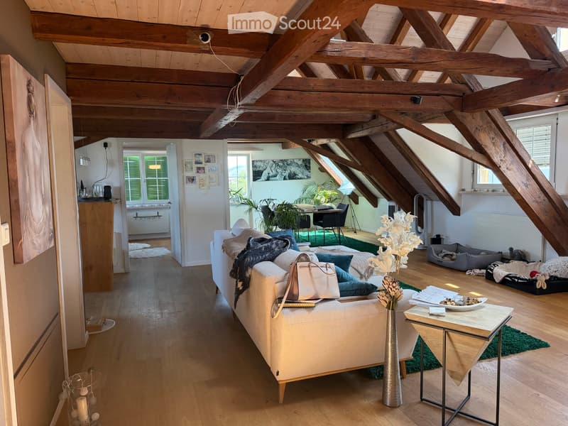 Accogliente appartamento mansardato di 2,5 locali con sauna privata (3)