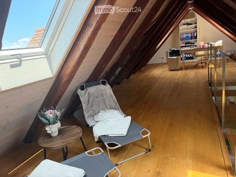 Accogliente appartamento mansardato di 2,5 locali con sauna privata (1)