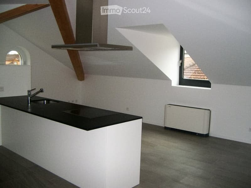 Beautiful apartment in a building in the city center (1)
