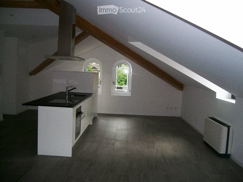 Beautiful apartment in a building in the city center (4)