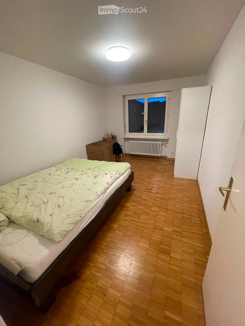 Cercasi inquilino: Appartamento a Olten (3)