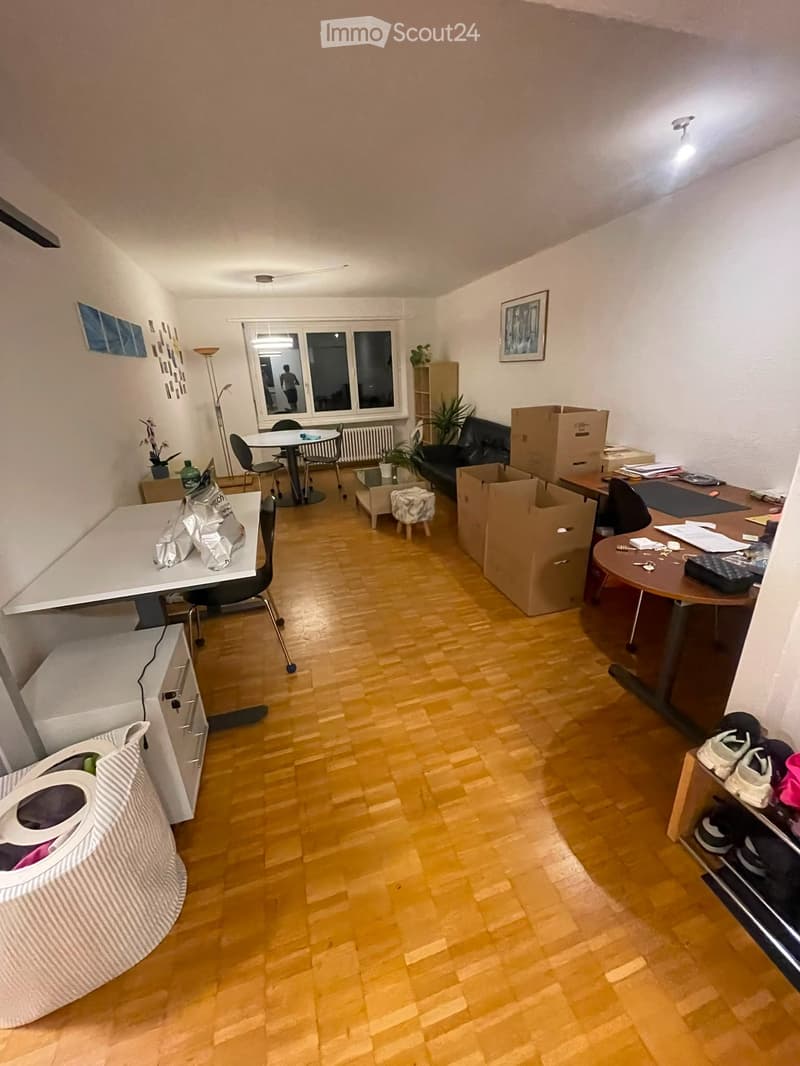 Cercasi inquilino: Appartamento a Olten (1)