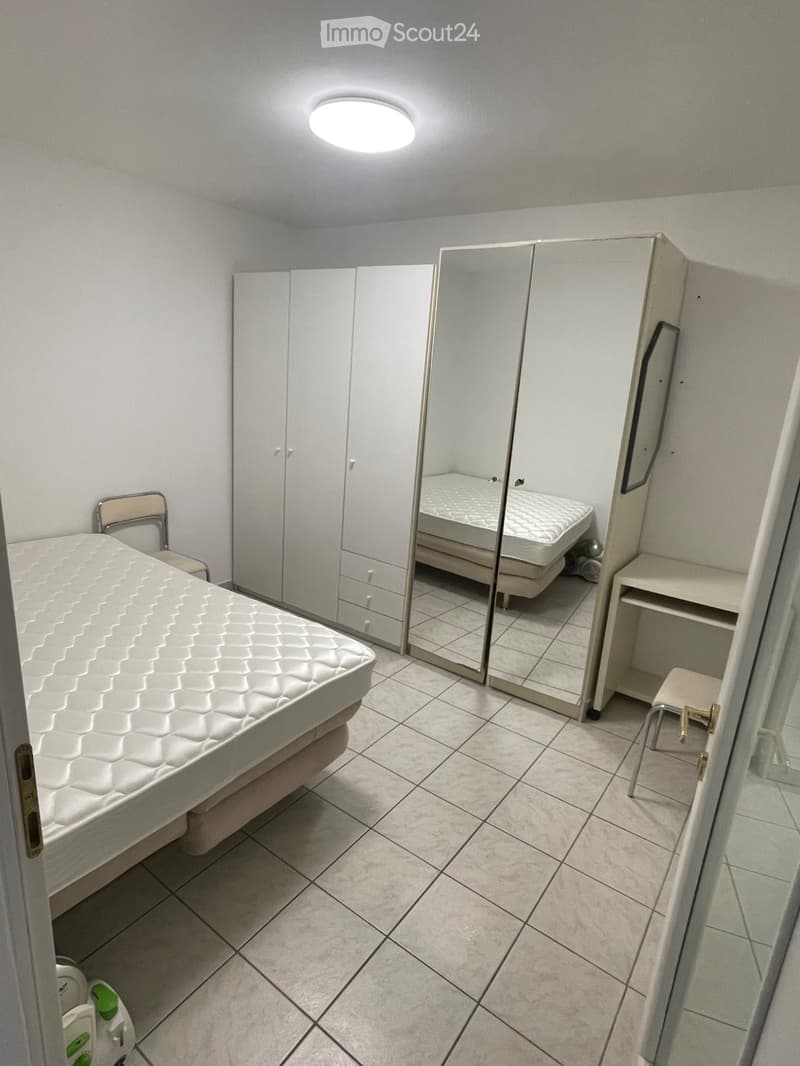 Small independent apartment in Blenio Olivone 650 T. C. (2)