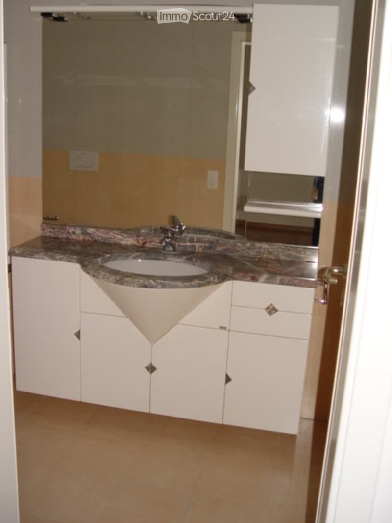 Bel appartement dans un immeuble du centre-ville (4)