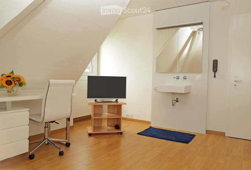 Furnished room in Bern city (Obstberg/Schosshalde) (3)