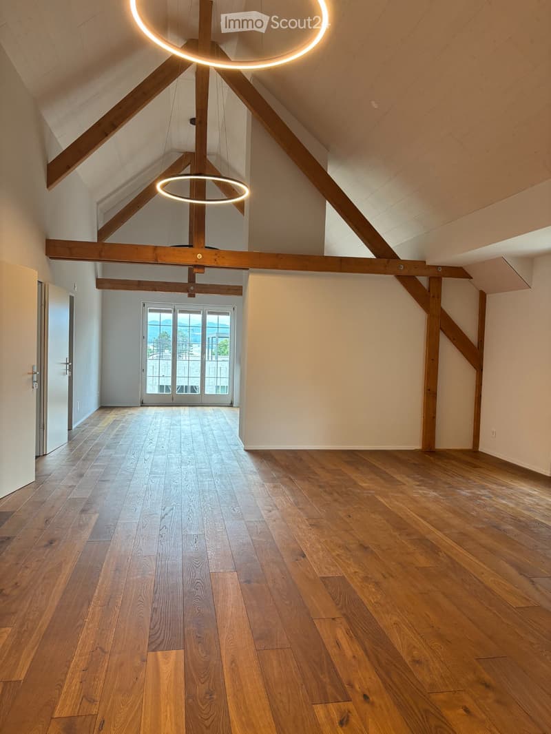 4.5 bedroom attic apartment 180m² 20 - 25 minutes from Basel (1)