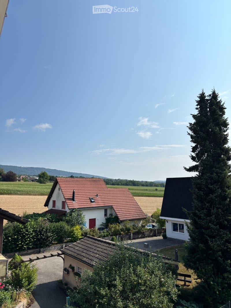 4.5 bedroom attic apartment 180m² 20 - 25 minutes from Basel (5)