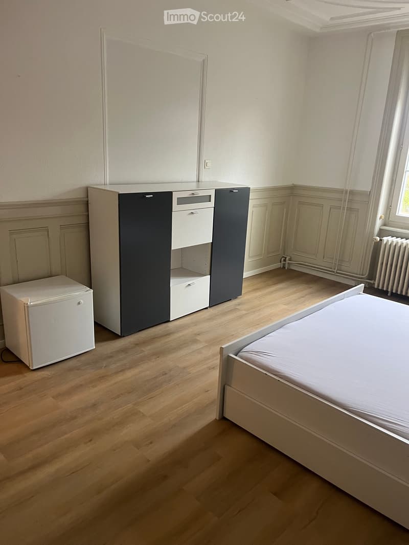 Chambre à louer en colocation (3)