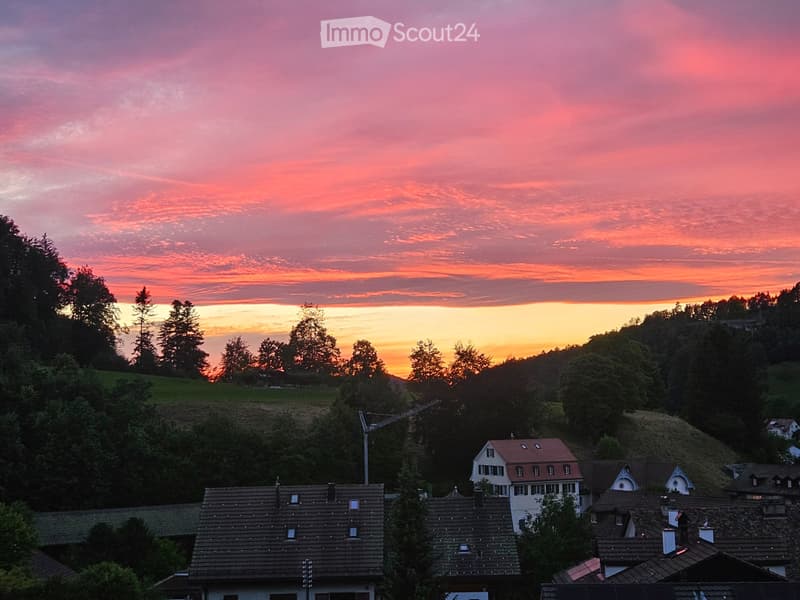 Appartement moderne de 3,5 pièces dans le Zurich Oberland sans brouillard (1)