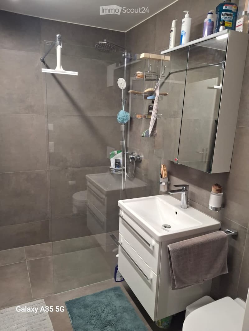 Appartement moderne de 3,5 pièces dans le Zurich Oberland sans brouillard (4)