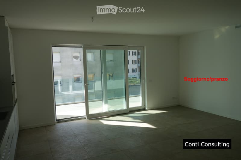 Beautiful apartment in Bellinzona (4)