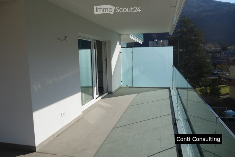 Beautiful apartment in Bellinzona (3)