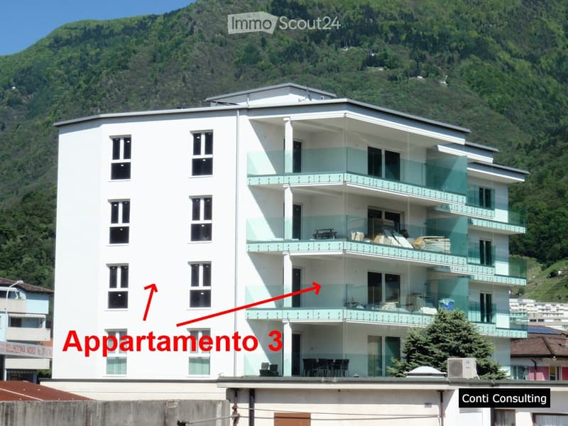 Beautiful apartment in Bellinzona (1)