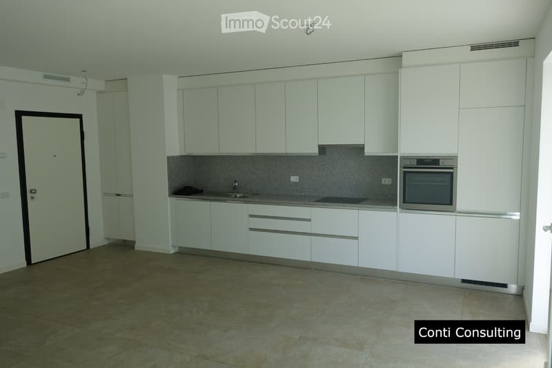Beautiful apartment in Bellinzona (2)