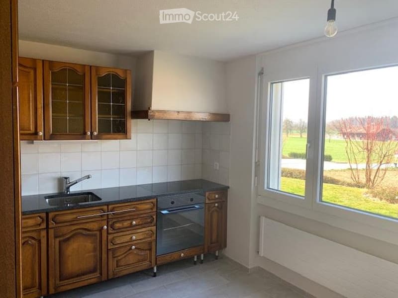 Charming 3.5 room apartment with great view (5)