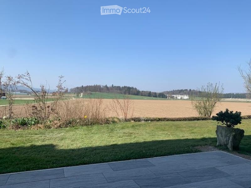 Charming 3.5 room apartment with great view (2)
