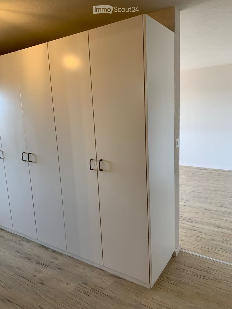 Charming 3.5 room apartment with great view (4)