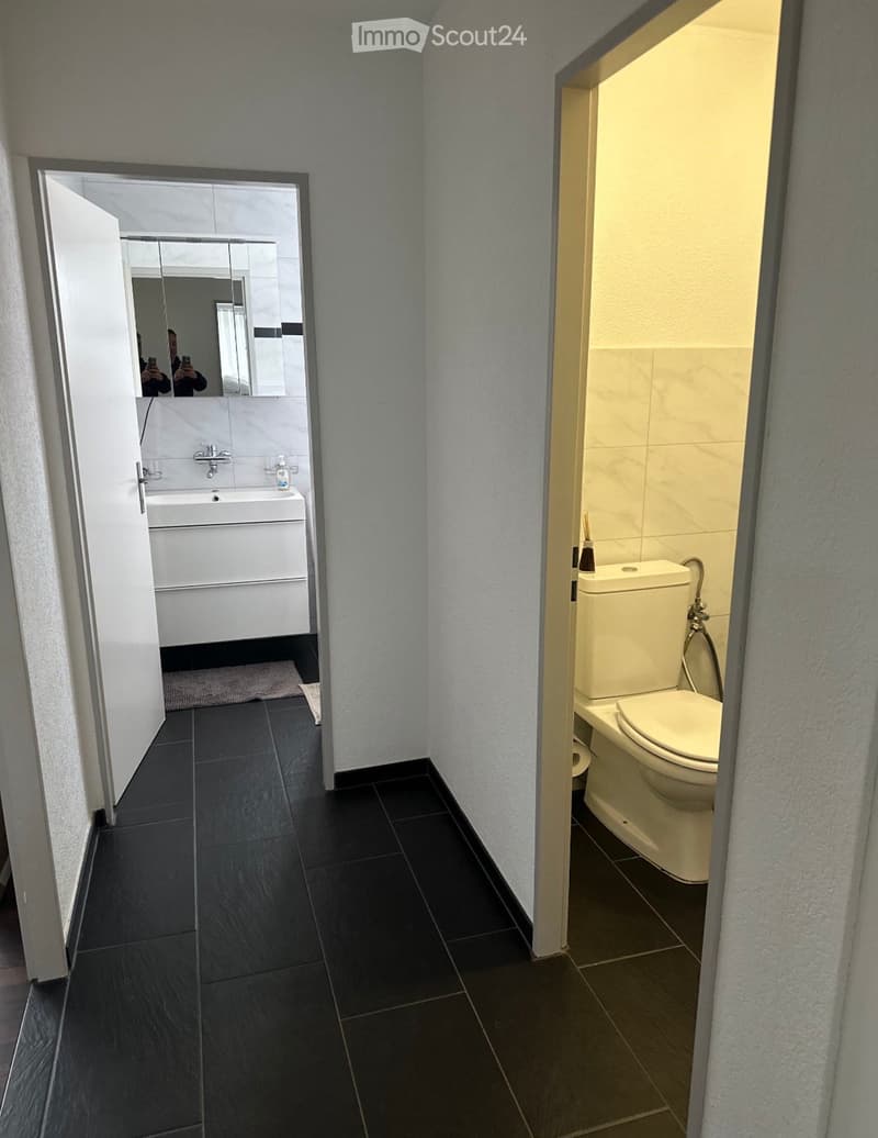 4.5 rooms, 95 m², 1st floor furnished apartment (5)