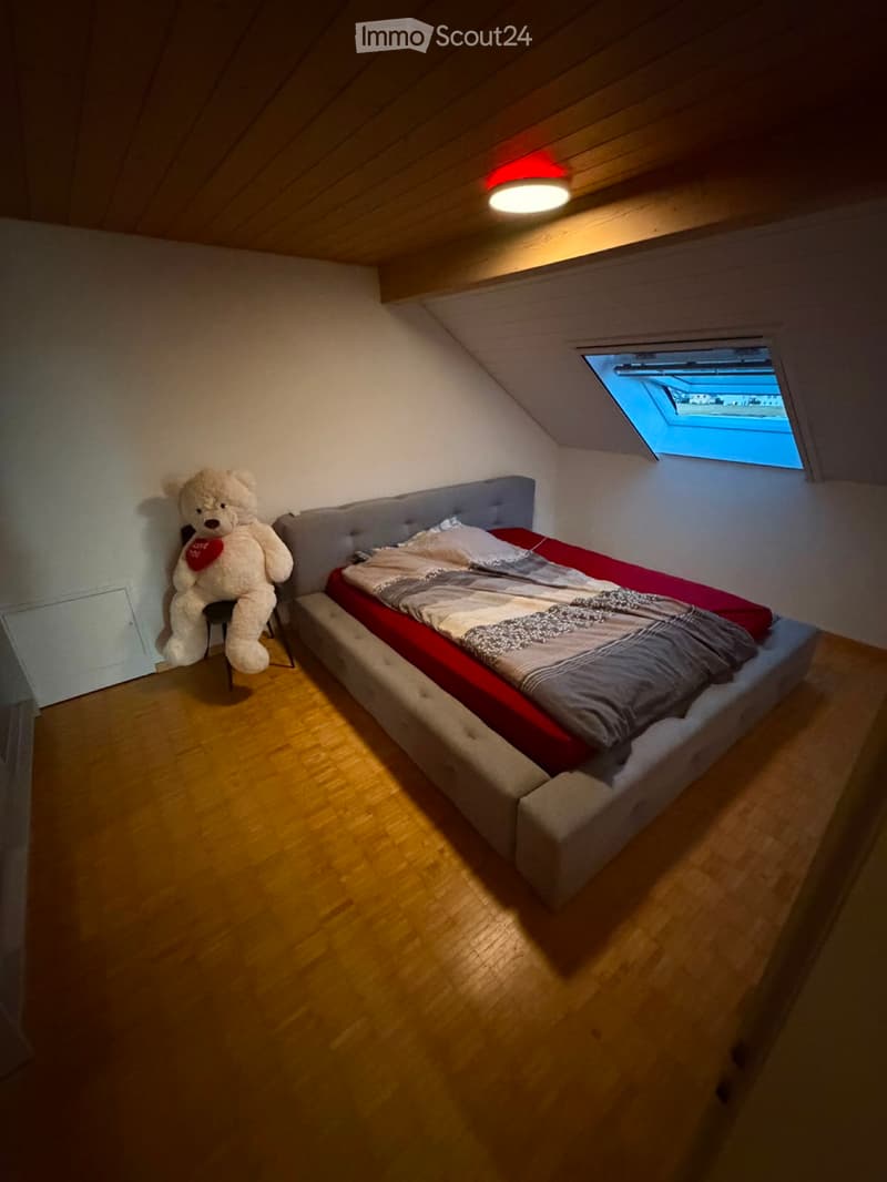 2.5Zimmerdachwohnung per 1. Sept (4)