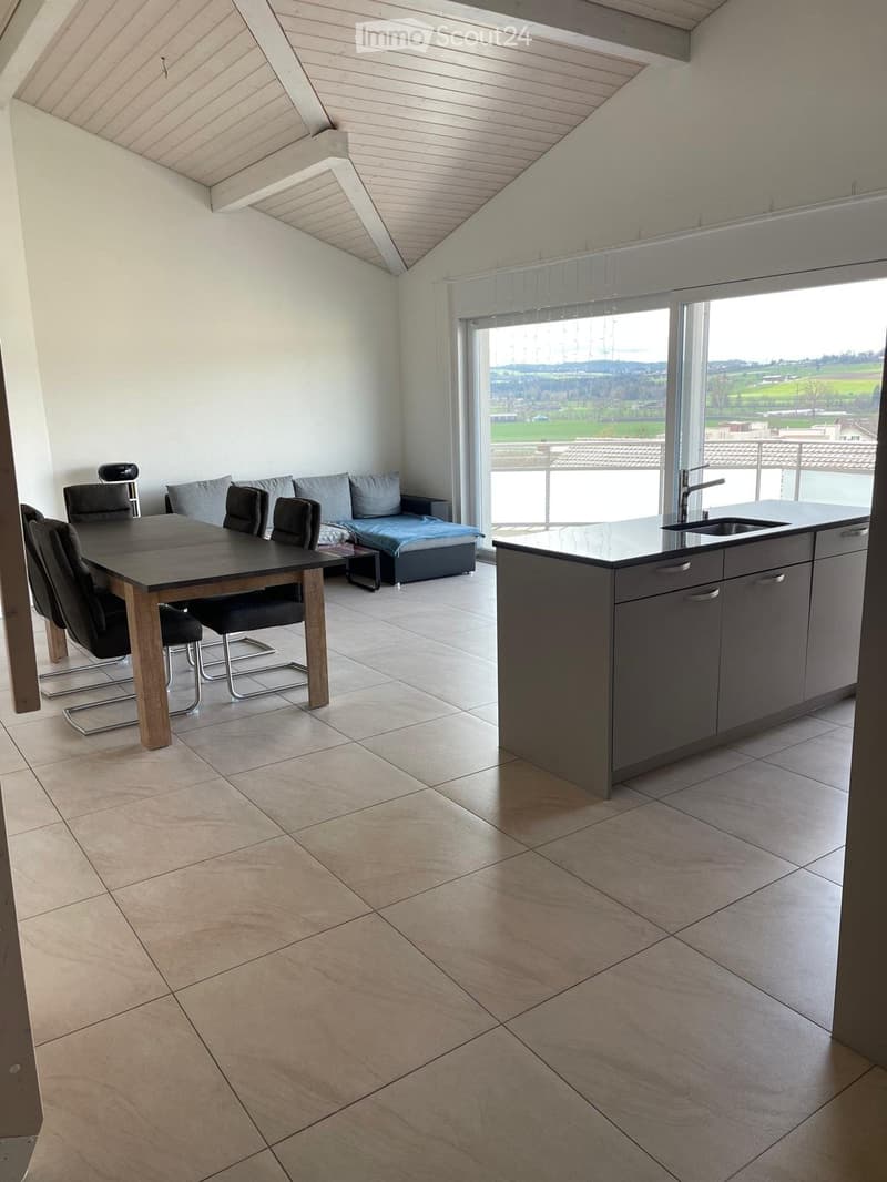Appartement mansardé de 3,5 pièces avec galerie (10 minutes de Sursee) (1)