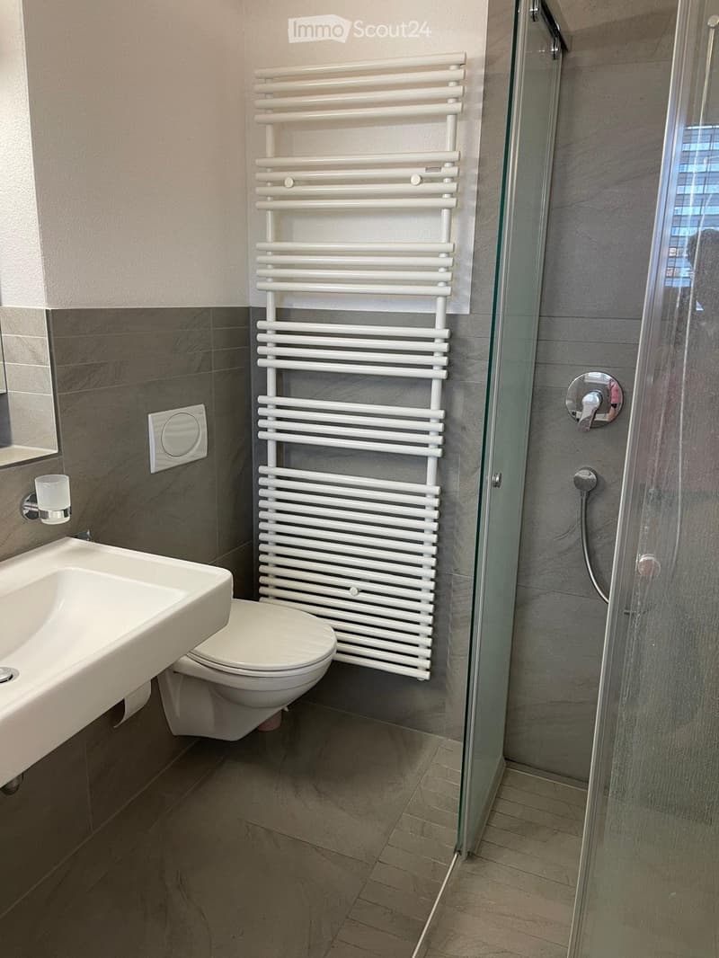 Appartement mansardé de 3,5 pièces avec galerie (10 minutes de Sursee) (4)