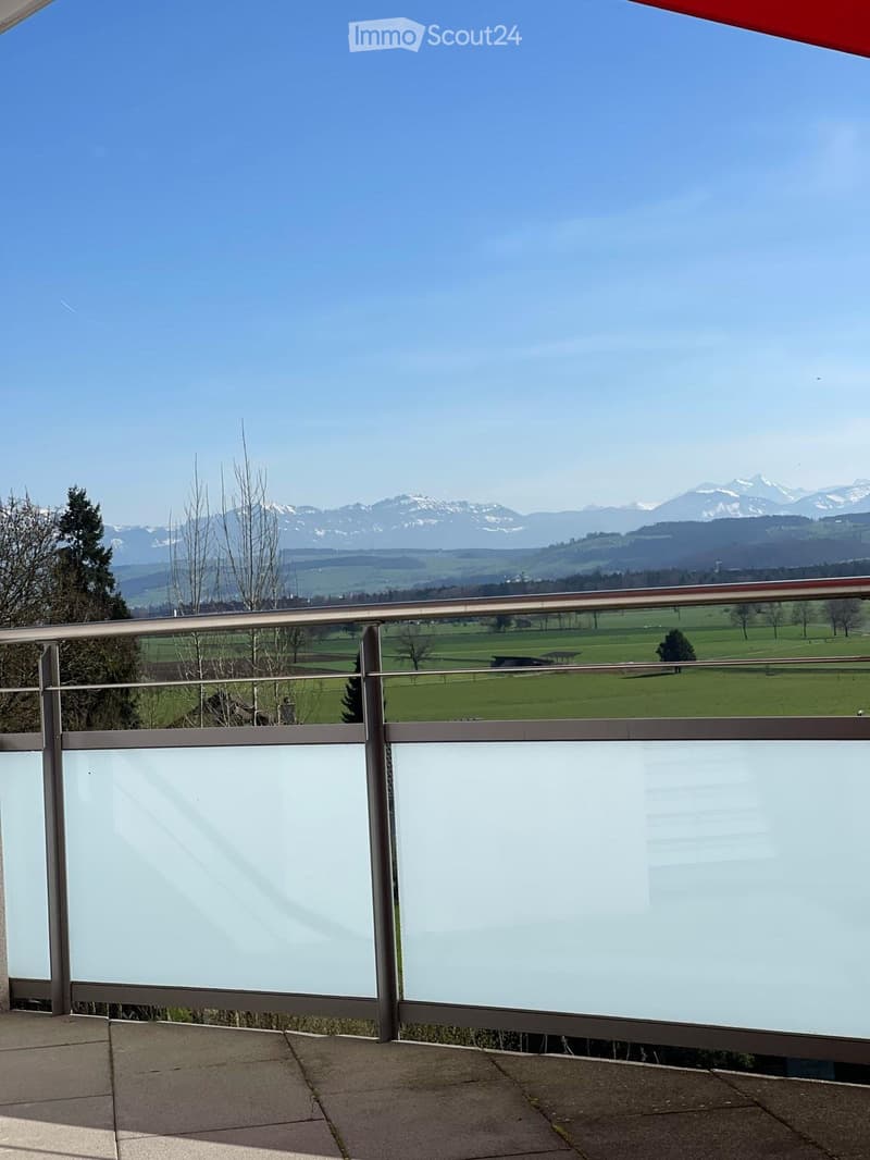 Appartement mansardé de 3,5 pièces avec galerie (10 minutes de Sursee) (3)