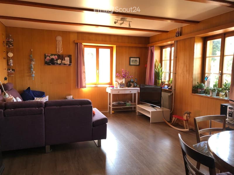Cottage in the countryside (4)