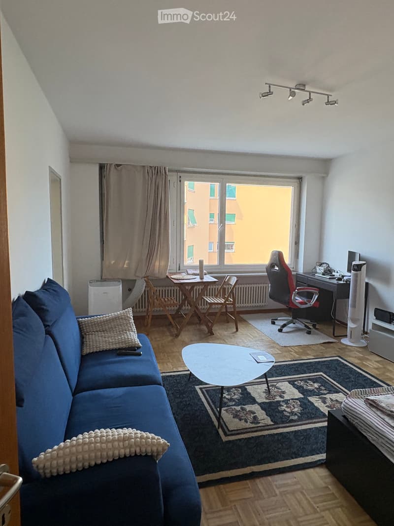 Opportunity to take over a splendid 1.5-room apartment in Massagno (2)
