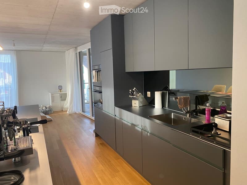 Modern living with a far-reaching view: Bright 4.5-room apartment (4)