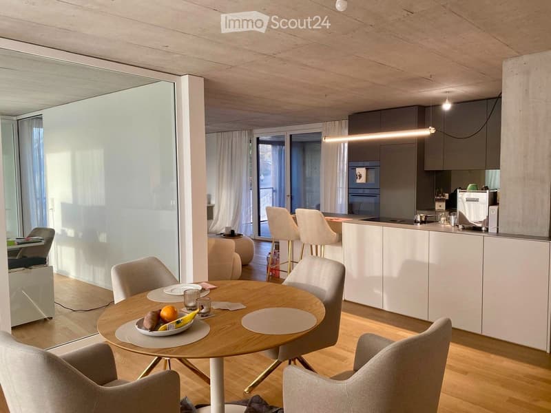 Moderne 4.5-Zimmer-Wohnung mit Weitblick (1)
