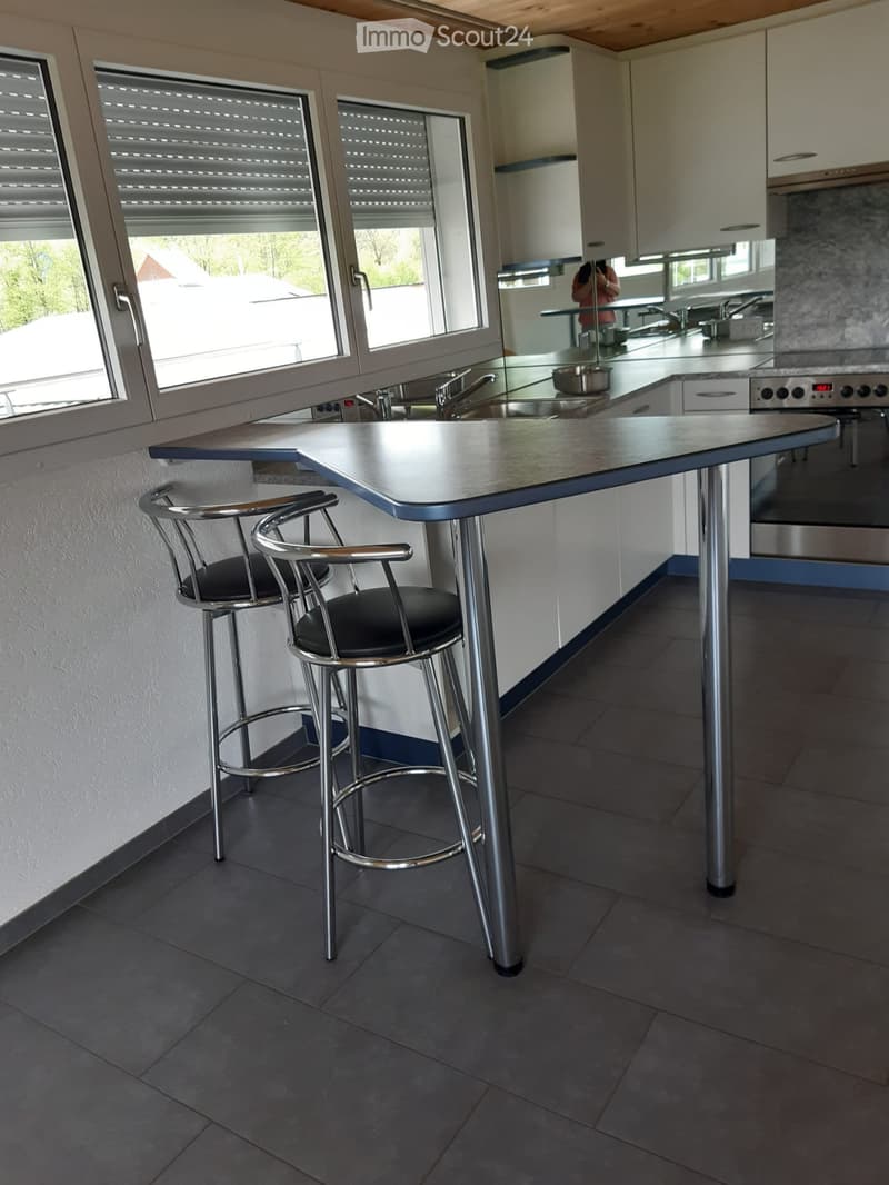 3.5 Room Maisonette Apartment with Gallery in Langnau (2)
