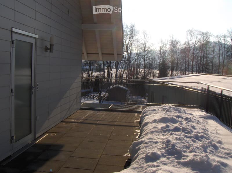 3.5 Room Maisonette Apartment with Gallery in Langnau (1)