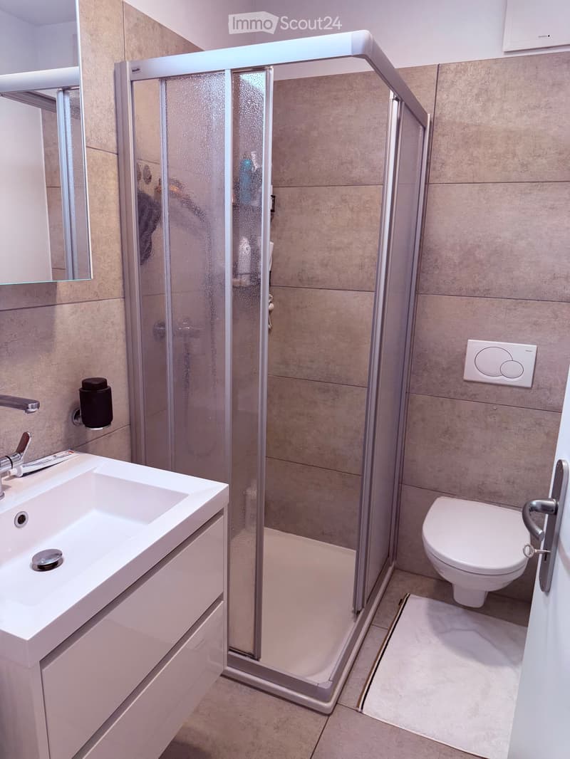 Beautiful 3.5-room apartment with garden (5)