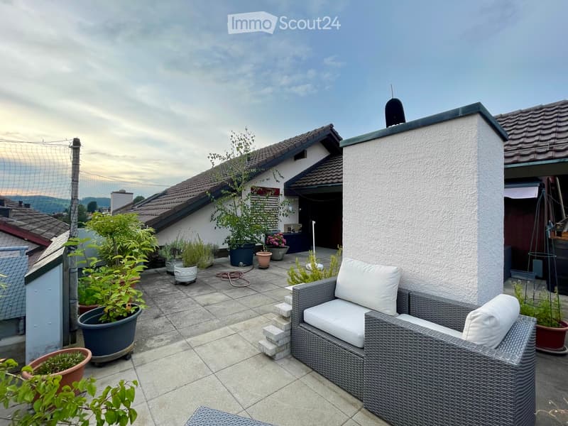 Einzigartige 3.5-Zimmer mit traumhafter Dachterrasse (2)