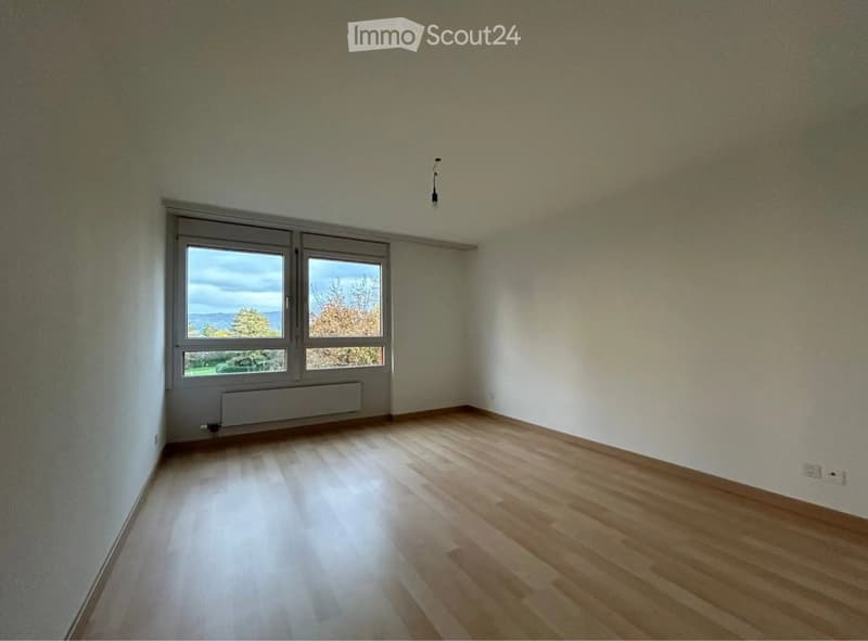 Nachmieter gesucht (4)