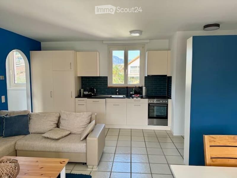 Appartement in Ascona (3)