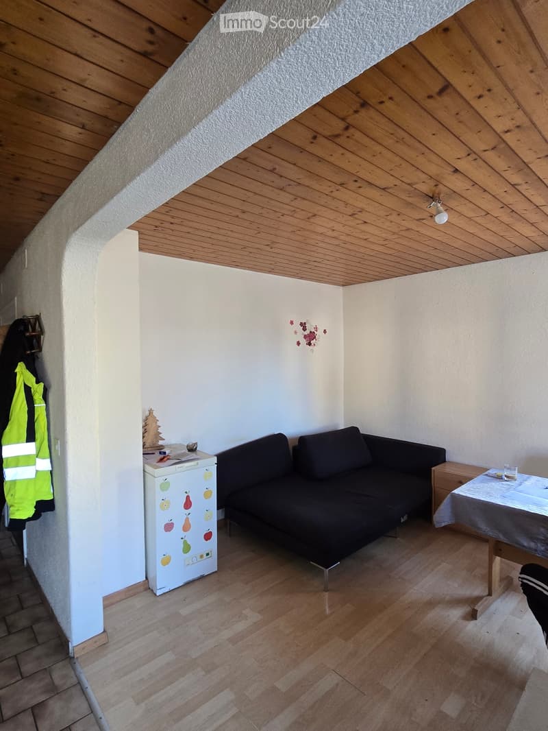 3-family house with 2 spacious attic rooms and hobby room (2)
